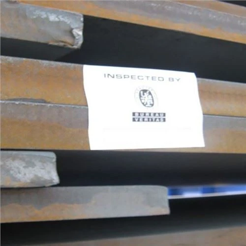 BV Certificat Naval Constructii Steel