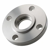 Flanse cu alunecare SS 316Ti